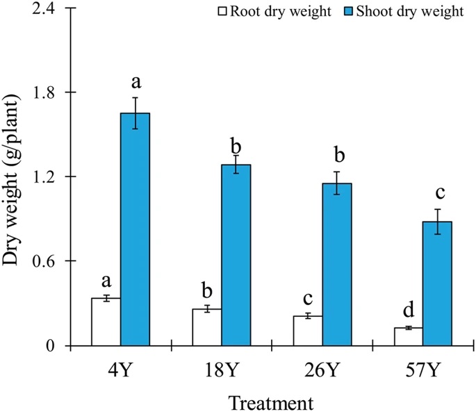 Article: Long-Term Coffee Monoculture Alters Soil Chemical Properties and Microbial Communities